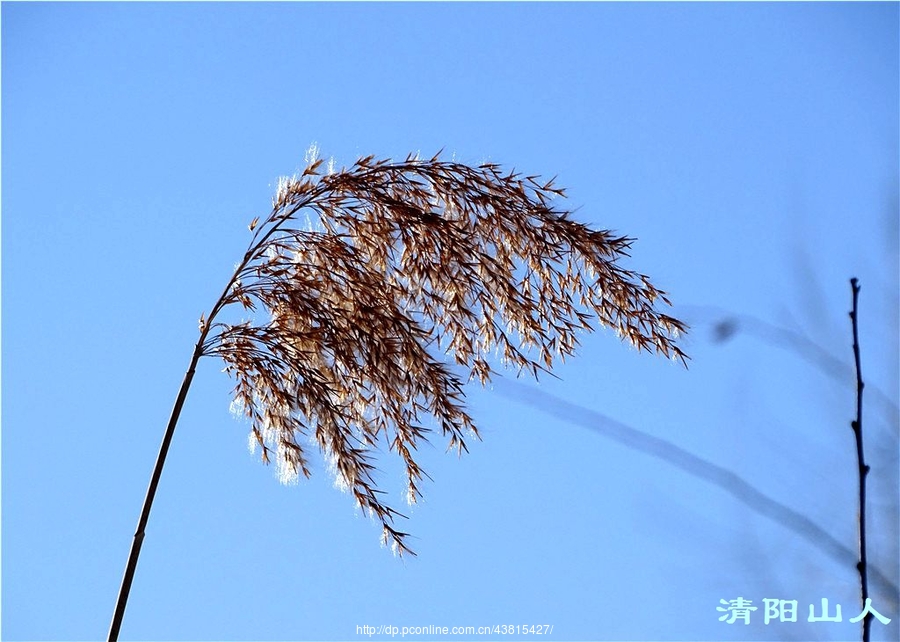 首尔夜未眠